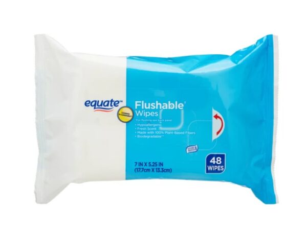 Equate Fresh Scent Flushable Wipes